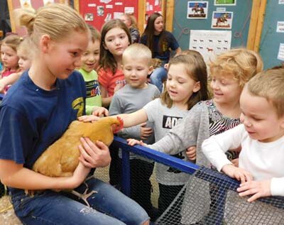 Maddie Harreld, a freshman at Stewartville High School in her first year in FFA, left, holds a chicken for a group of fascinated 4-year-old preschoolers from the Central Education Center at the SHS Ag Fair on Wednesday morning, Feb. 26. The preschoolers include, from far right, David Hepner, Emily Mannix, Ashlynn Anderson, Brody Mueller, Mila Rowe, Owen Schulte, Ava Monty and Berkley Liffrig. Maddie said the Ag Fair is special because it gives children a chance to learn about agriculture at a very young age. I think its fun to have the kids come and to get them started early, she said.