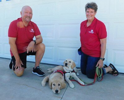 Gary and Jill Hallman of Stewartville are great start parents for Wylla, left, and Wista, three-quarters golden retriever and one-quarter Labrador retriever.