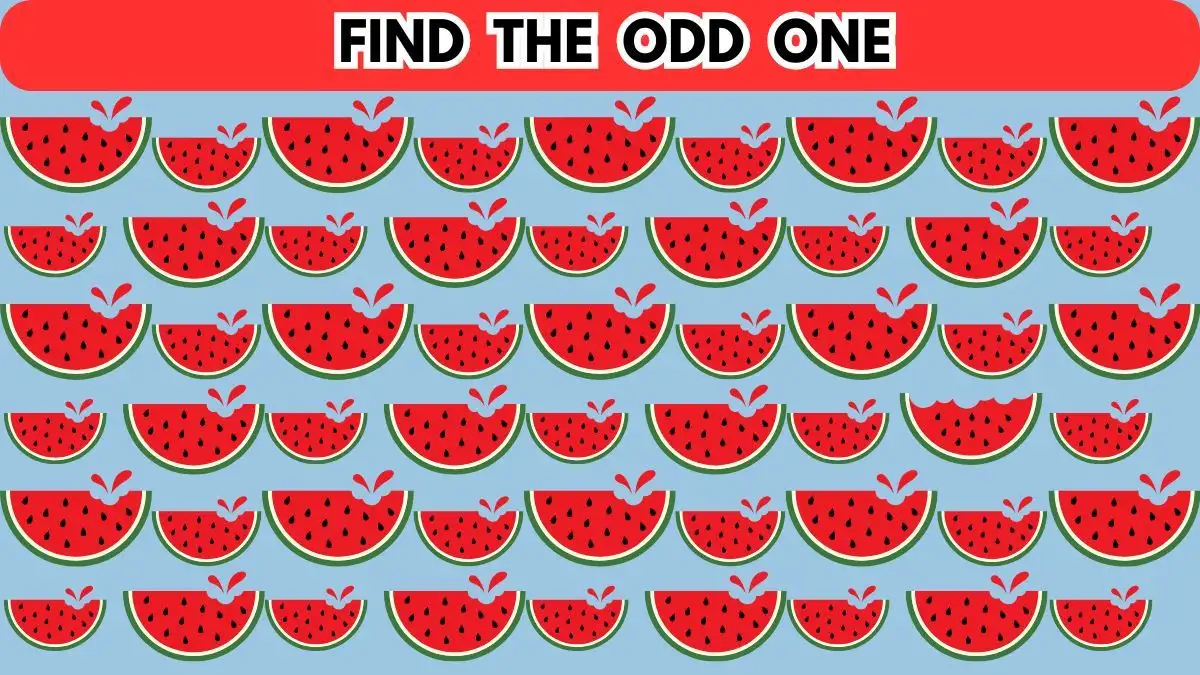 brain teaser find the odd one in 10 seconds