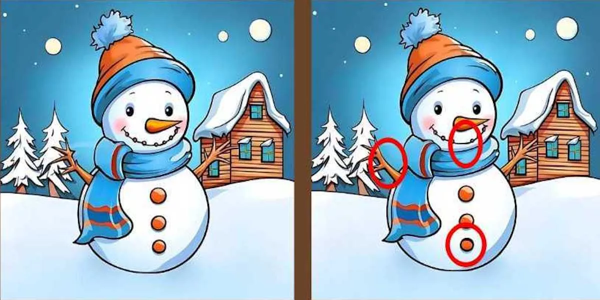 solution snowman