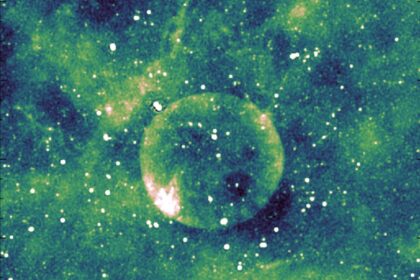 6480846130354 2025 06 12t145303.231